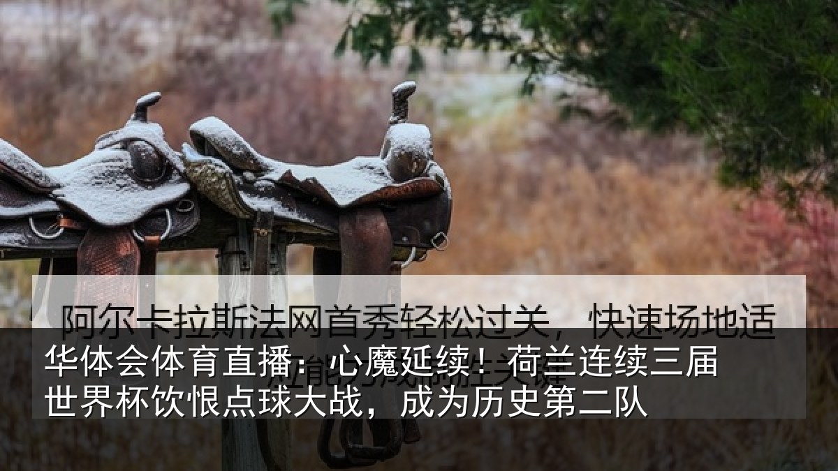 华体会体育直播：心魔延续！荷兰连续三届世界杯饮恨点球大战，成为历史第二队