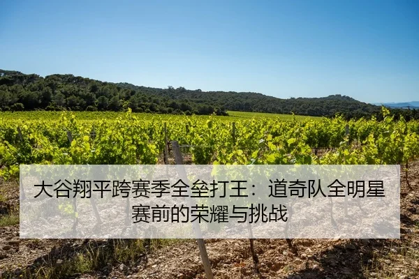 大谷翔平跨赛季全垒打王：道奇队全明星赛前的荣耀与挑战